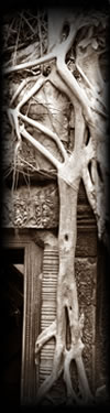 bc at angkor Wat